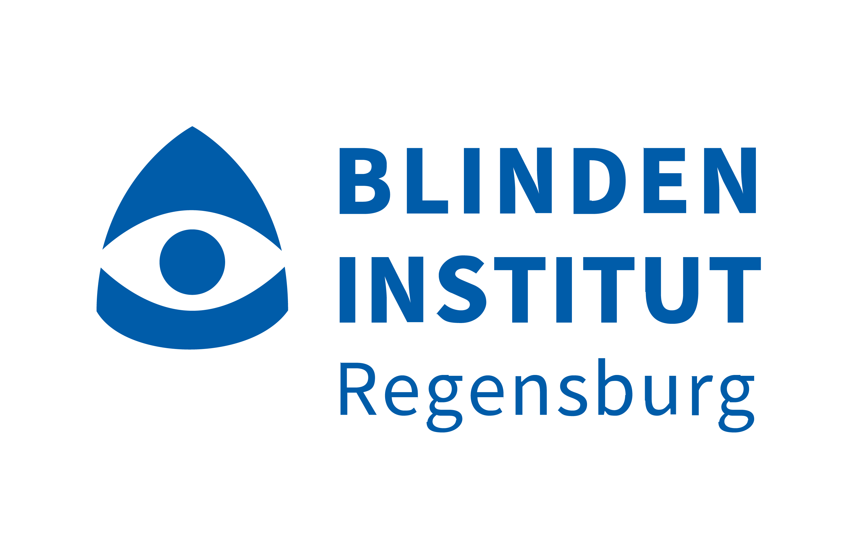 Logo des Blindeninstituts Regensburg