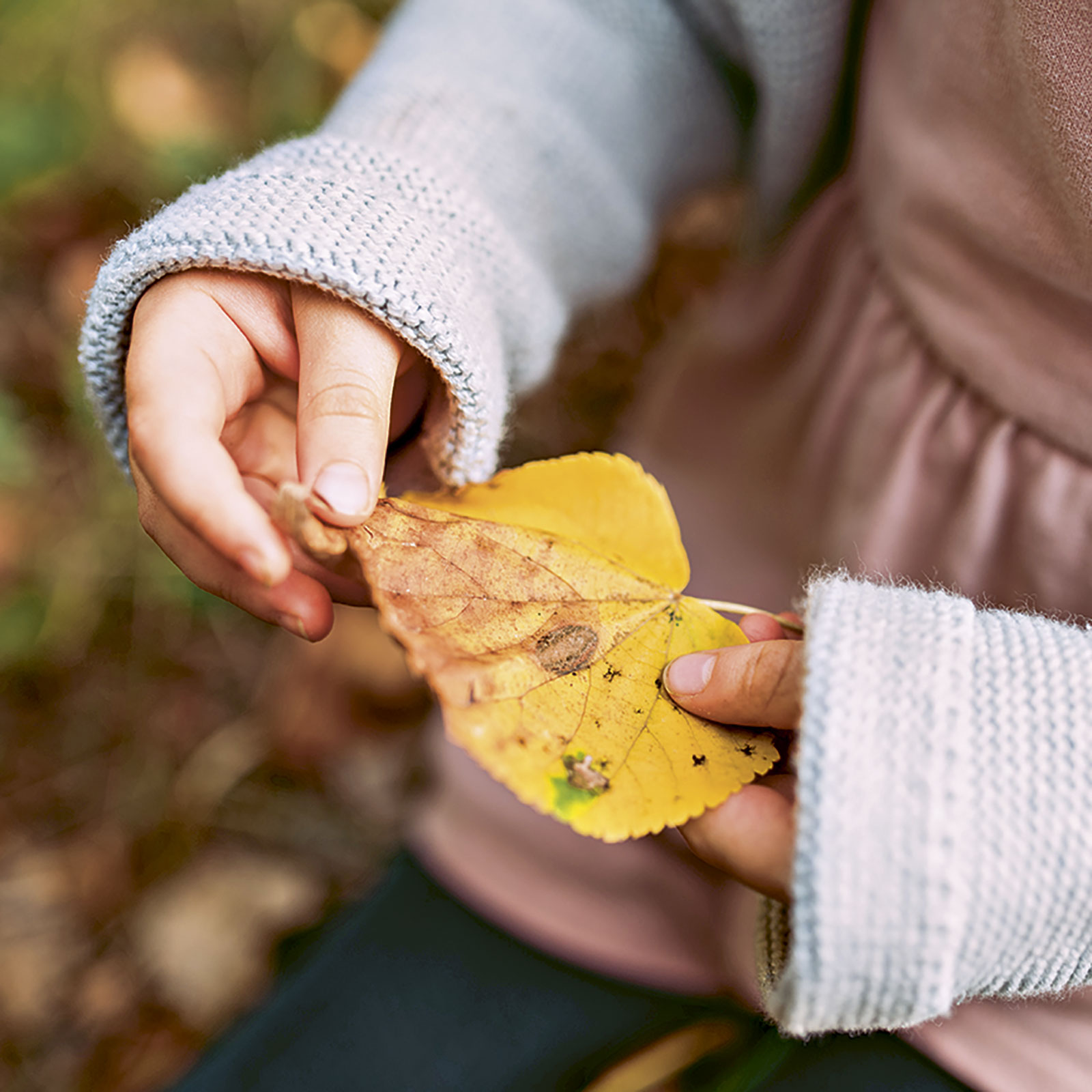 Kinderhände ertasten ein gelbes Herbstblatt.