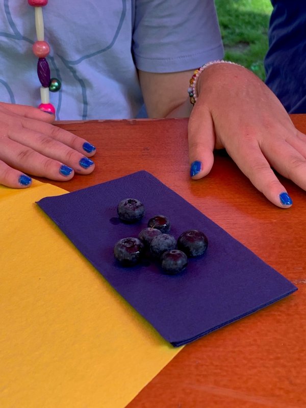 AUf dem Bild sieht man zwei Hände mit blau lackierten Fingernägeln, und eine blaue Serviette auf der Blaubeeren liegen