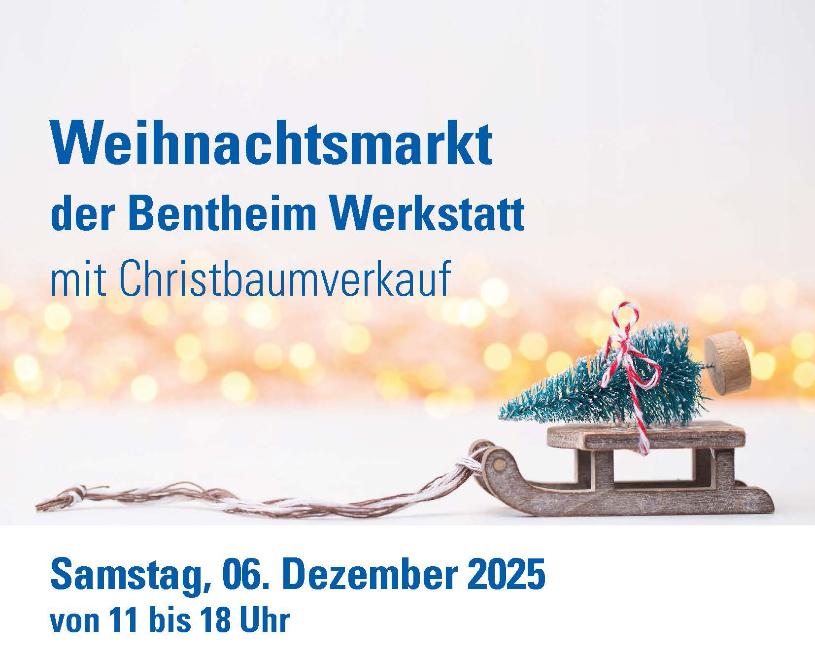 In der Bildmitte steht ein kleiner Holzschlitten, auf dem ein Tannenbaum festgeschnallt ist.