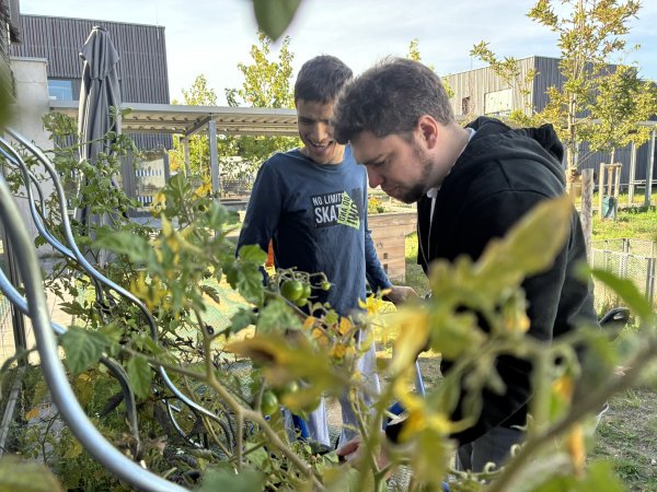 Ein junger Mann mit Behinderung steht mit einem Förderstättenmitarbeiter vor einem Hochbeet und schaut die Pflanzen darin an