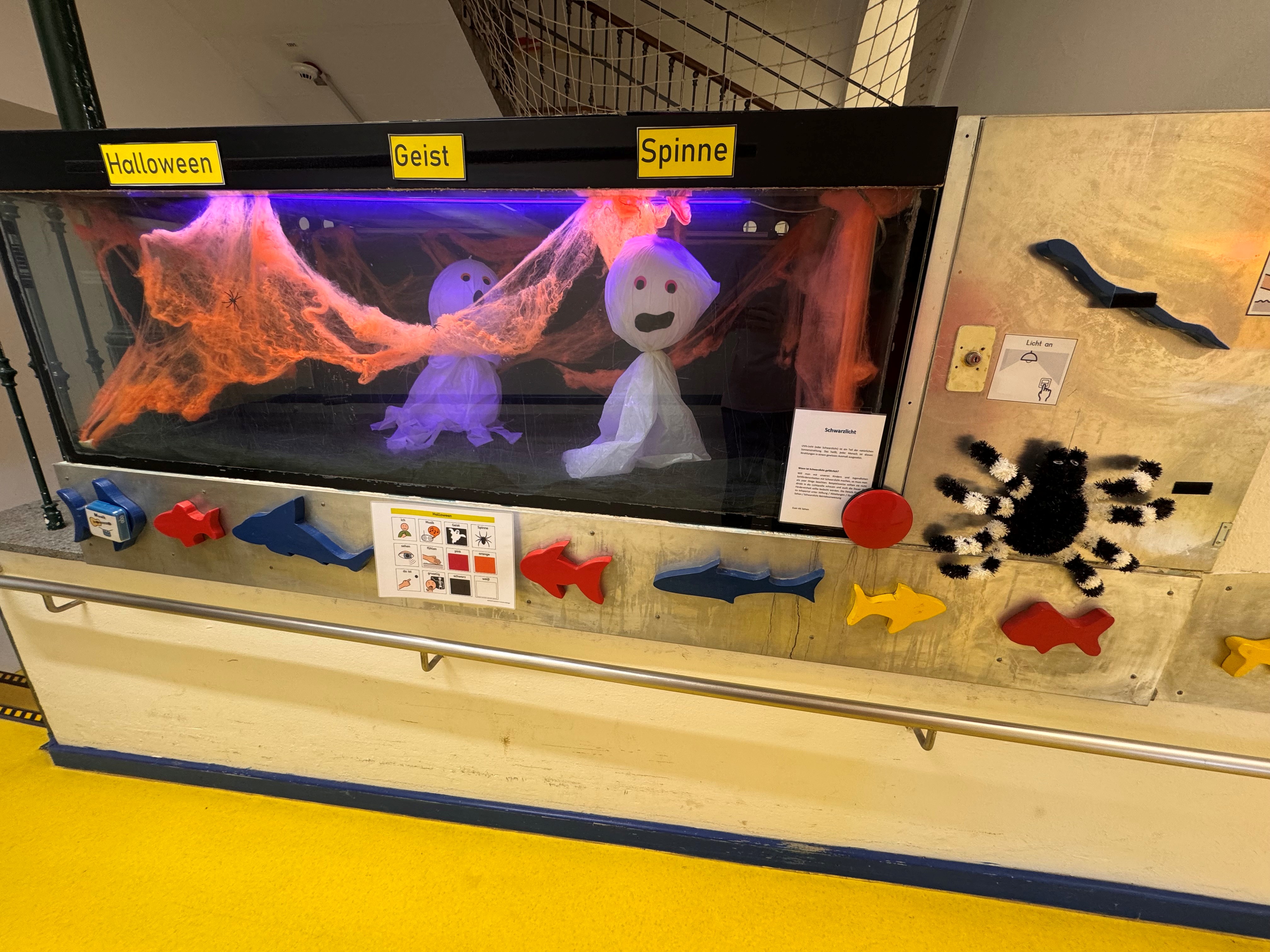 auf dem Bild sieht man ein beleuchtetes Aquarium, in dem sich ein Spinnennetz und ein Geist befinden.