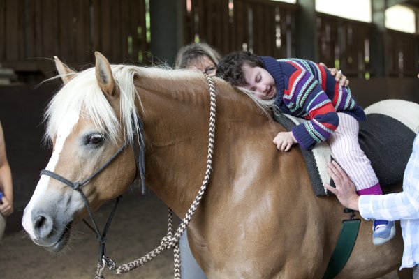 Ein kleines Mädchen liegt auf dem Rücken eines Pferdes