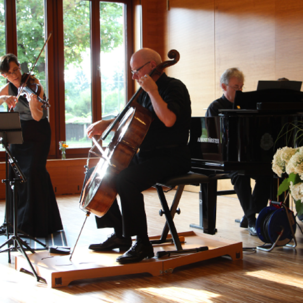 Adamar Trio live