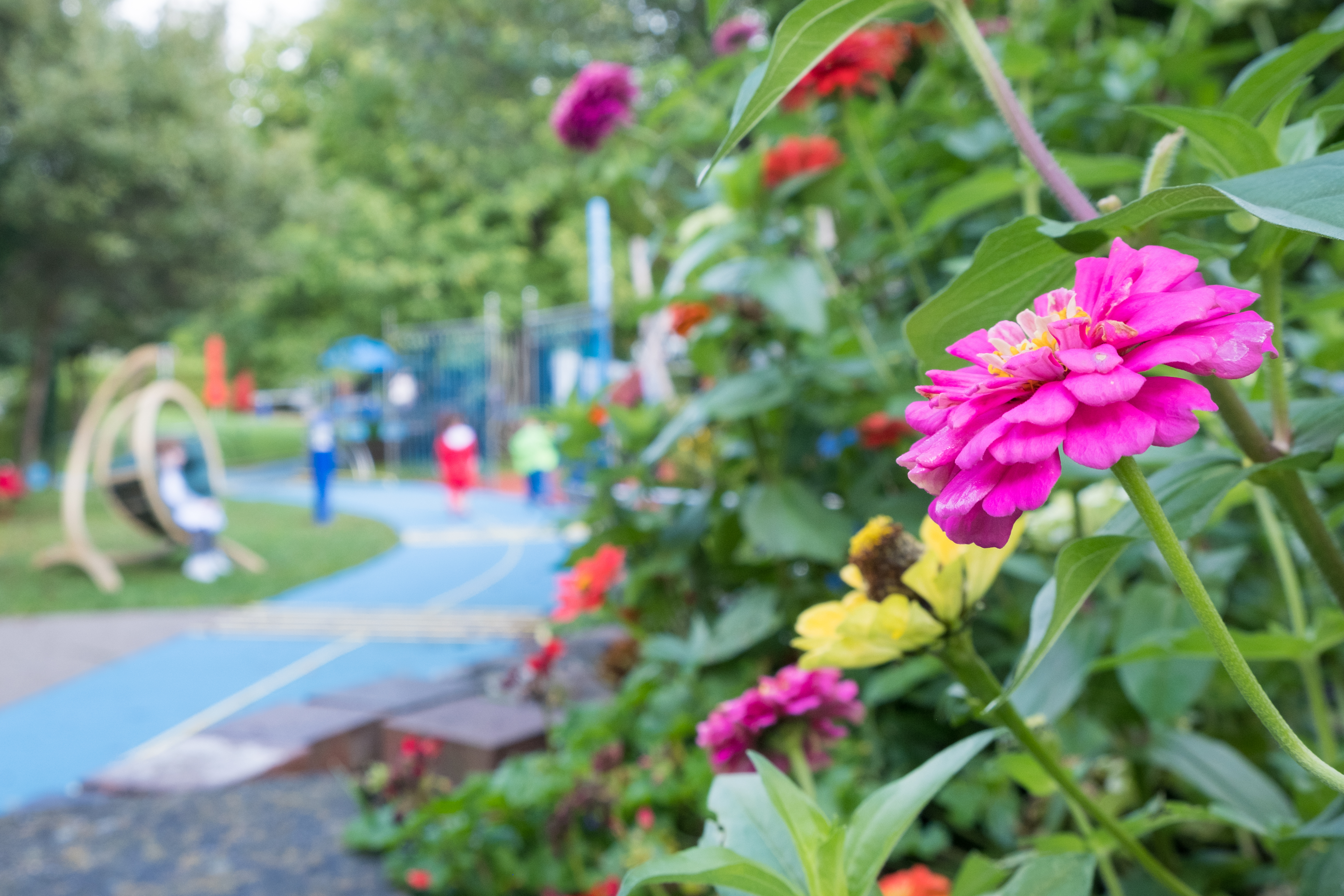 Das Bild zeigt den Spielplatz des Blindeninstituts München