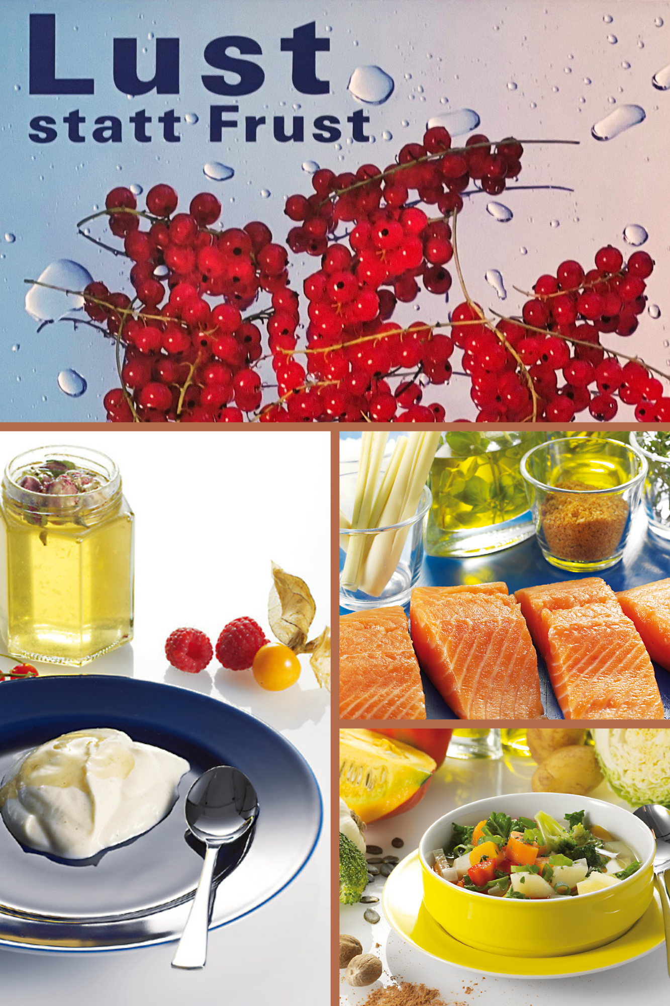 Auf dem Bild sieht man das Titelbild des Kochbuchs Lust statt Frust mit Rezepten, die Spaß machen