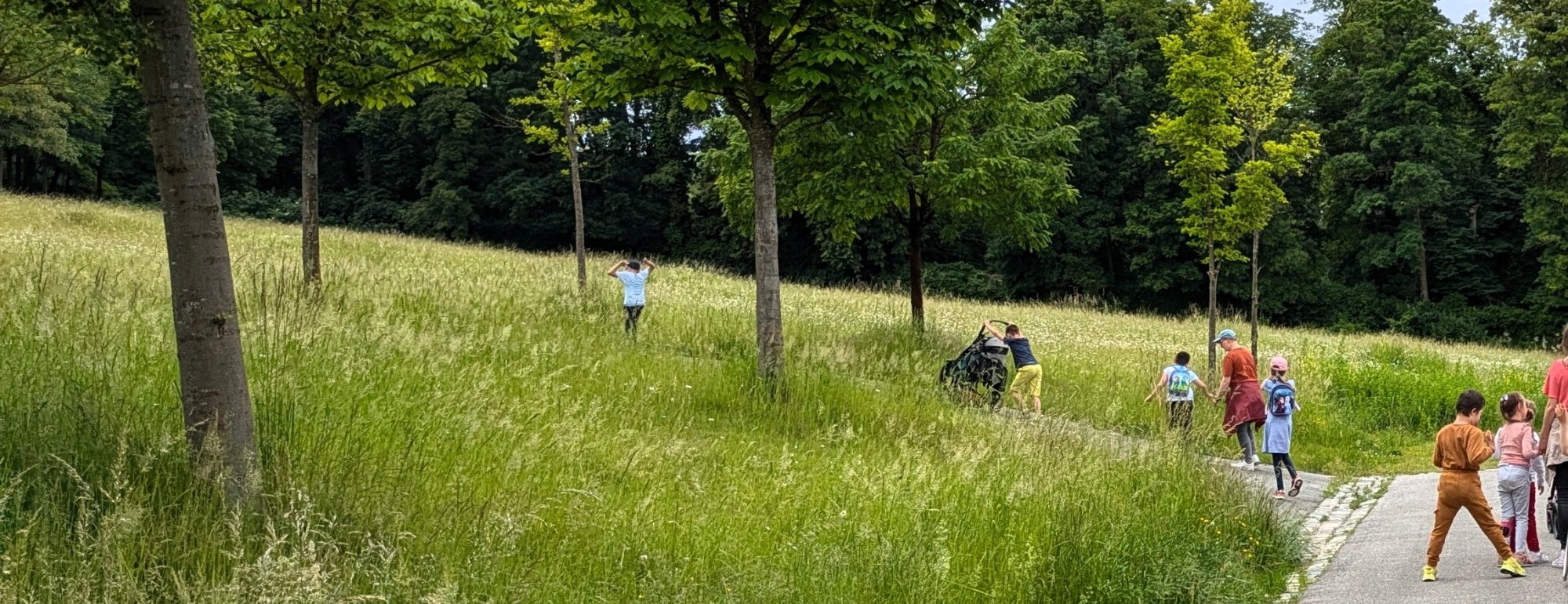 Eine Gruppe der Heilpädagogischen Tagesstätte macht einen Ausflug in den Wald. Die Kinder laufen über eine Wiese.