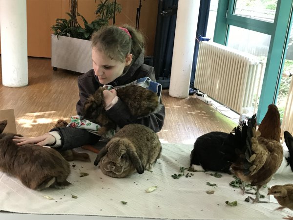 Die Klientin Eva aus dem Blindeninstitut Rückersdorf streichelt Hasen und Hühner.