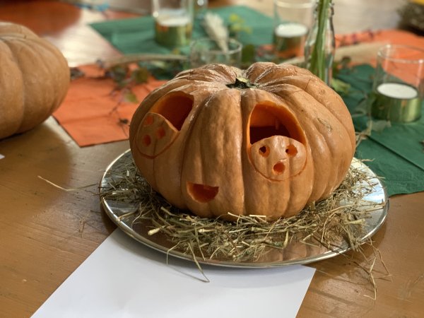 Das Bild zeigt einen Halloween-Kürbis mit eingeschnitztem Kürbisgesicht.