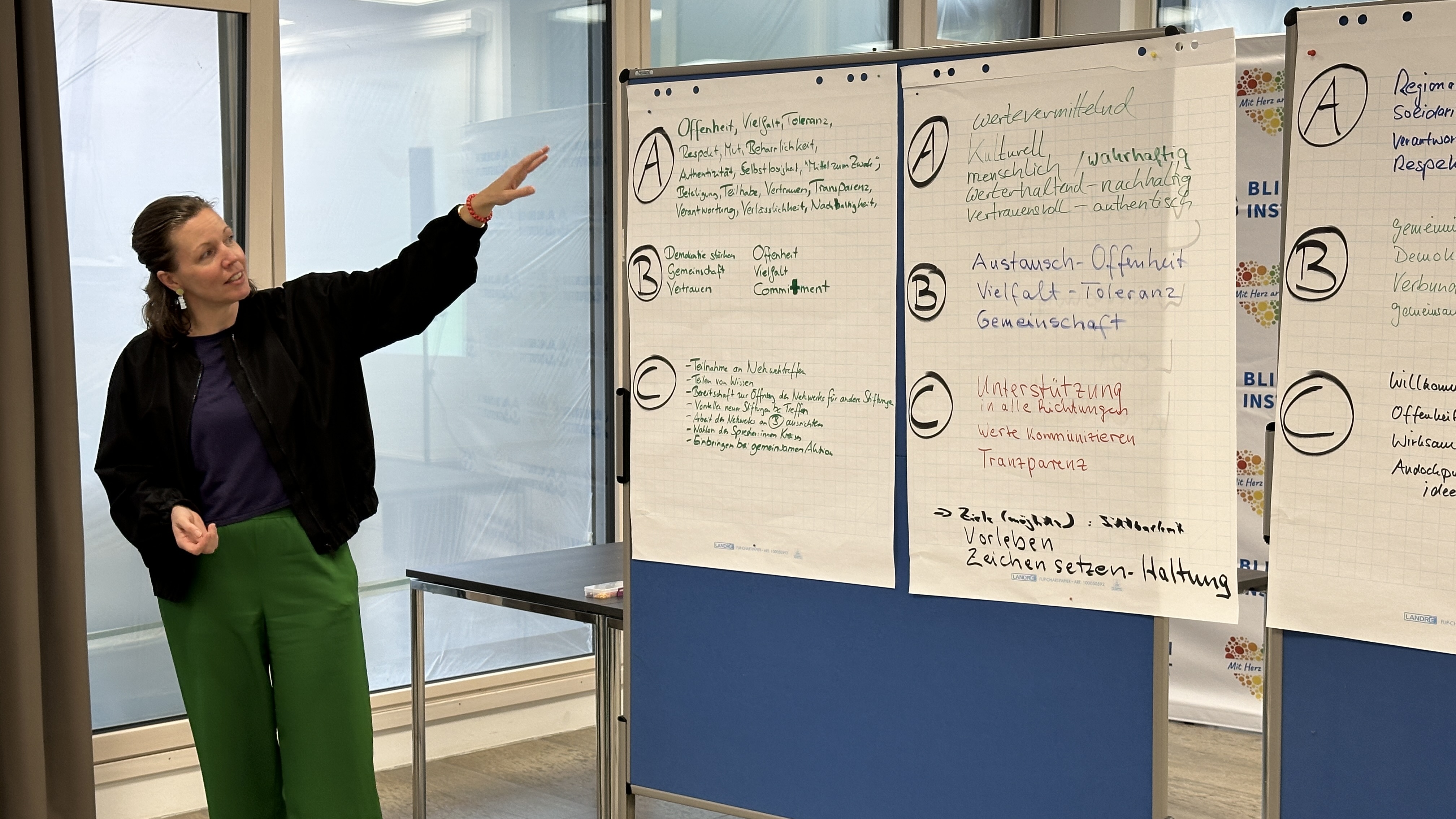 Eine Frau steht vor einer Stellwand und deutet mit dem Finger darauf. Sie erklärt, was auf den Plakaten steht, die daran hängen.