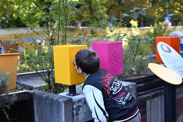 Auf dem Bild sieht man einen jungen der an einem der Riechkästen des Mehrsinnes-Informationspfads am Blindeninstitut München riecht.