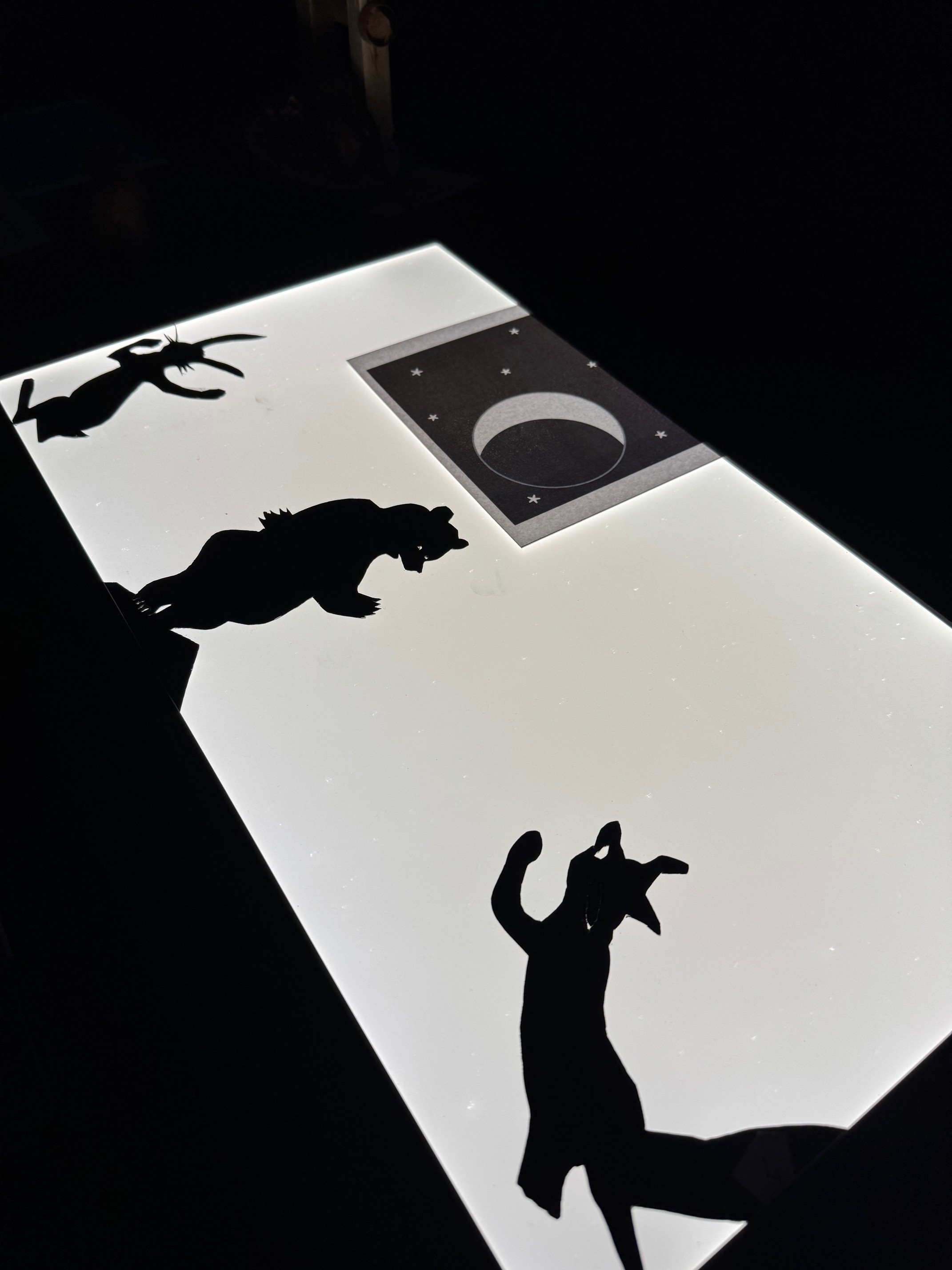 Auf einem beleuchteten Leuchttisch sind Schattenspielfiguren von verschiedenen Tieren zu sehen, darunter ein Hase, ein Bär und ein Fuchs. 