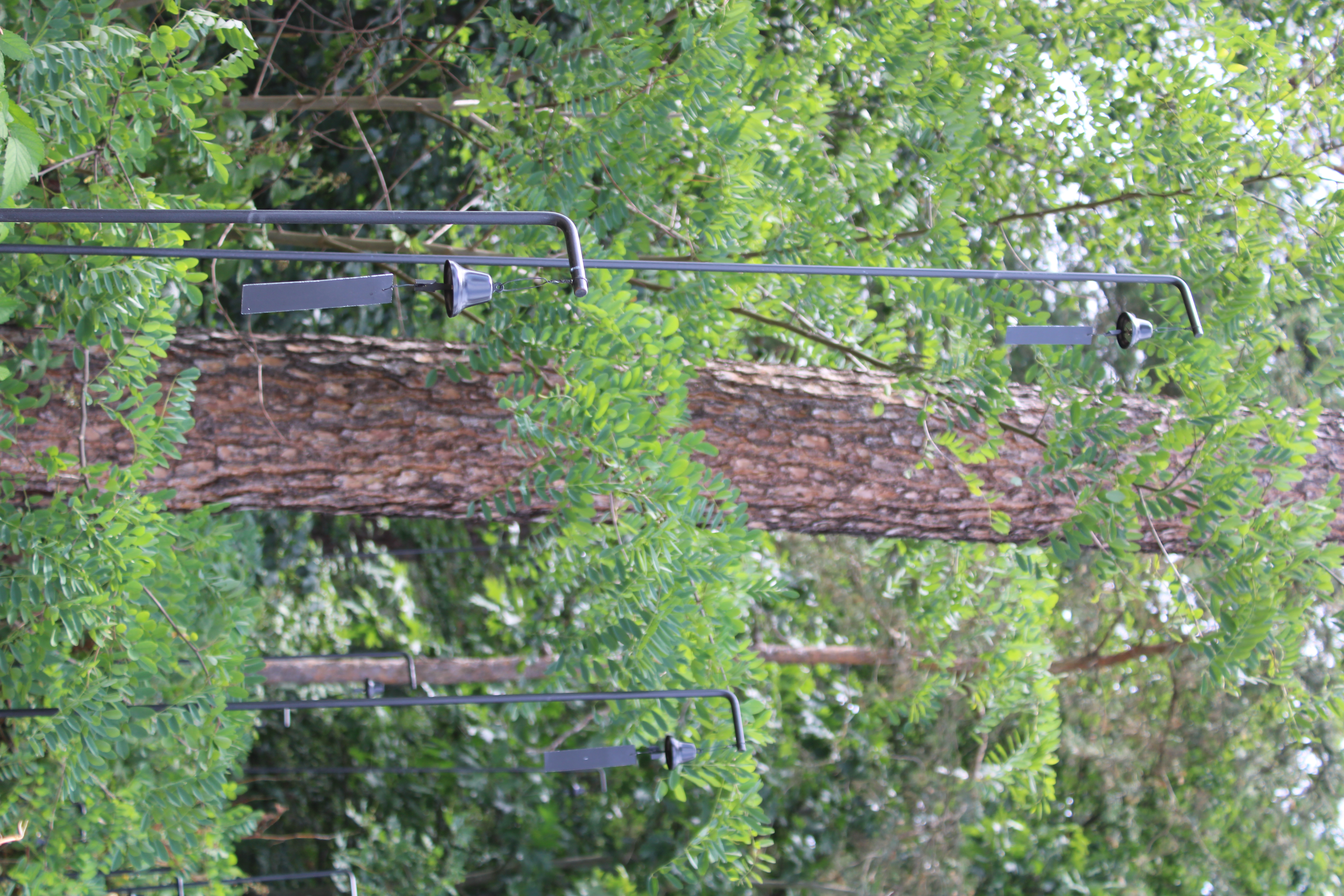 Das Kunstobjekt Windcatcher-Soultracker von Angelika Huber im Park des Blindeninstituts Rückersdorf.