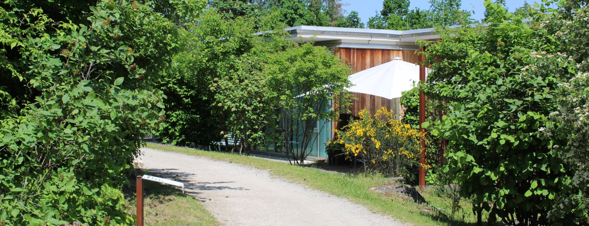 Das Gelände des Blindeninstituts Rückersdorf im Sommer.