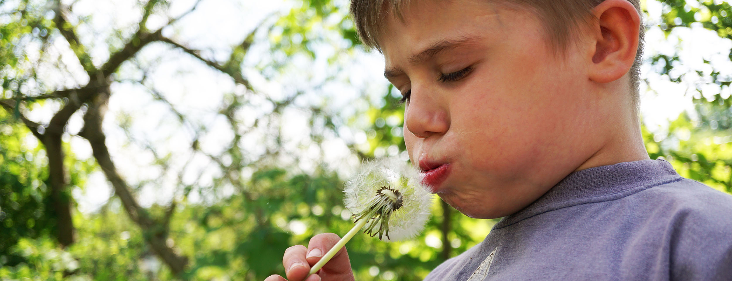 Ein kleiner Junge hält eine Pusteblume an seinen Mund. Er hat seine Backen aufgeblasen und ist gerade dabei, die Blüten wegzupusten.