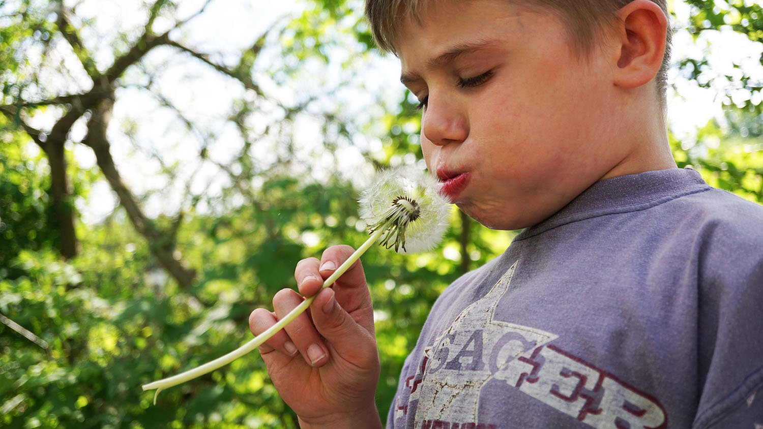 Ein kleiner Junge hält eine Pusteblume an seinen Mund. Er hat seine Backen aufgeblasen und ist gerade dabei, die Blüten wegzupusten.